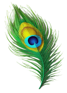 SEO Services Krishna