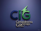 CamaraInnova Group logo