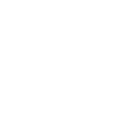 BInaryMind Consultancy logo