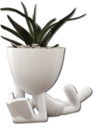 Pots de fleurs originaux
