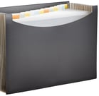 AmazonBasics Expanding File with 13 Pockets - Letter Size (₹399)