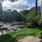 Lago, Jardim Botânico, Rio de Janeiro