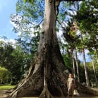 Jardim Botânico, Rio de Janeiro