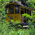 Bonde, Santa Tereza