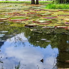 Jardim Botânico, Rio de Janeiro