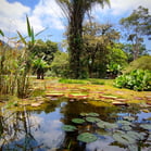 Jardim Botânico, Rio de Janeiro