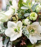 bouquet livraison gratuite tombe, cimetiere Sepulture49