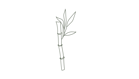 Sketch of a bamboo stem with leaves, symbolizing nature and sustainability.
