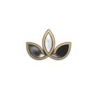 Las Mejores Colonias logo