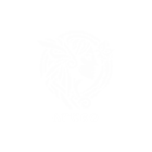 Arteo logo