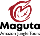 Magüta logo
