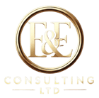 E&E Consulting Ltd logo