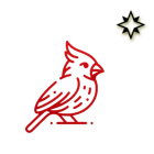 Cardinal Star Healing logo