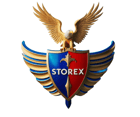 StoreX logo