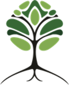 livexim logo