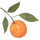 orange with green stem and leaves