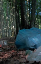 Plastique jeté dans la forêt réduisant la fertilité du sol