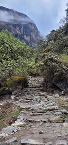 Himalayas, Gosaikunda, Langtang, trekking in nepal, living in nepal, Nepal, Langtang Valley, trek