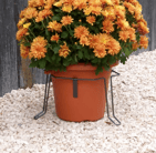 stabilisateur de pot tombe, évite plante cimetiere de tomber