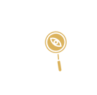 transparent icon