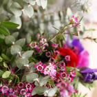 Bouquet rameaux pas cher à déposer sur la tombe