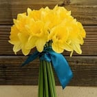 bouquet de jonquilles déposé sur tombe pays de la loire pas cher 14€
