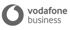 Vodafone Business Logo