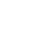 LP4 TATTOO logo