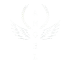 Aesthetic Black Agência de Marketing para Academia logo