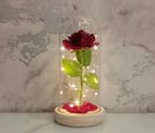 Red Rose Dome With Light