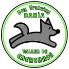 taller de cachorros certificados por un profesional