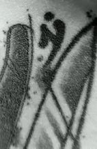 Logo Lame Tolosienne