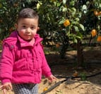 a young child standing in a field with oranges