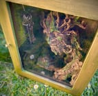 Escape box jungle