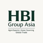 Official logo of HBI Group Asia — global trade and export infrastructure platform.
