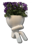 Pot de fleur original