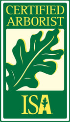 ISA certified arborist logo, oak leaf