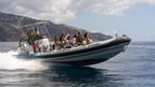 xpoint brand new boat