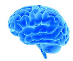 BlueScreenMind logo