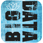 SOCIALWIFI NC logo
