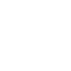 Virginteractiv logo