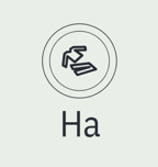 HAVOTHI logo