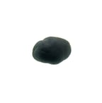 Codium pomoides