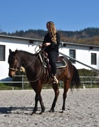 Braune Warmblutstute mit Reiterin auf gepflegtem Reitplatz. Geritten im Bosal. 