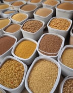 A series of transparent dispensers filled with various types of grains and seeds, each labeled with its name and price per kilogram. The containers include nut-free muesli, muesli base, porridge oats, jumbo oats, wheat flakes, rye flakes, barley flakes, red lentils, sunflower seeds, and whole-wheat penne. The setup is likely located in a shop or market with visible brick walls in the background.