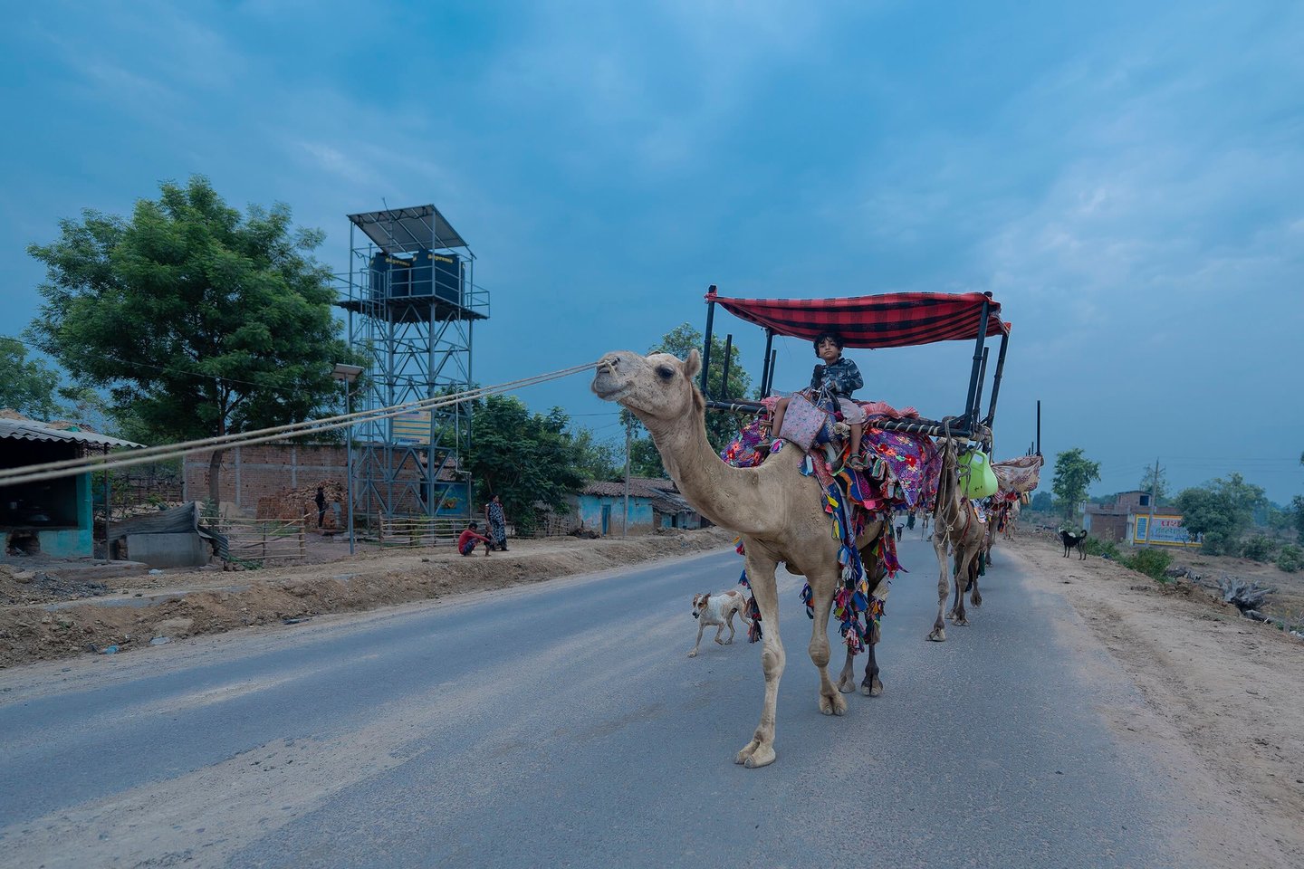 Rabari nomads from Kutch Gujarat India