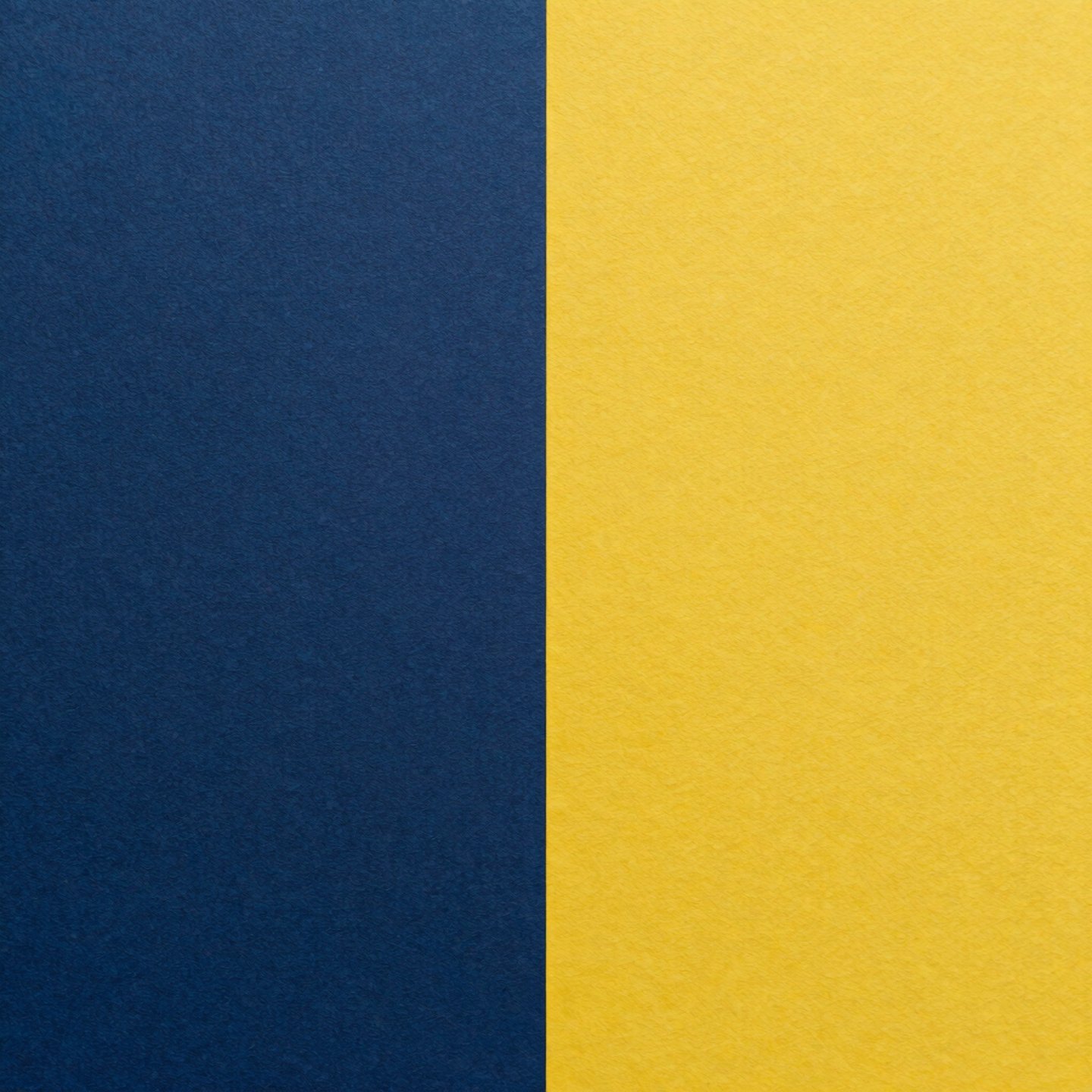 A minimalist split background featuring dark navy blue and vibrant yellow textured paper.