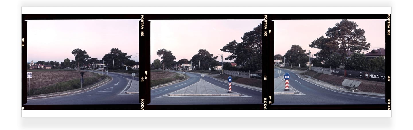 Composite color photo of a winding road with traffic signs, golden hour, secular trees, captured on KODAK PORTRA film