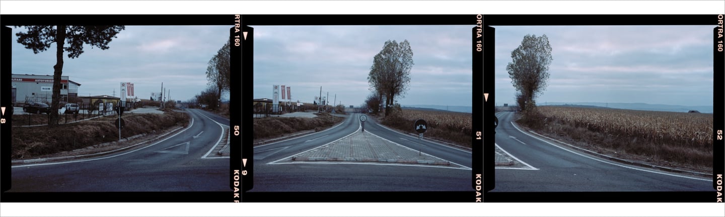 Composed color photo depicting tranquil country road leading from the city to a serene rural area, marked by a solitary tree
