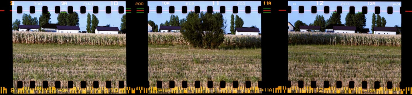 Composed photo of a field with a white buildings dark roofs film strip 